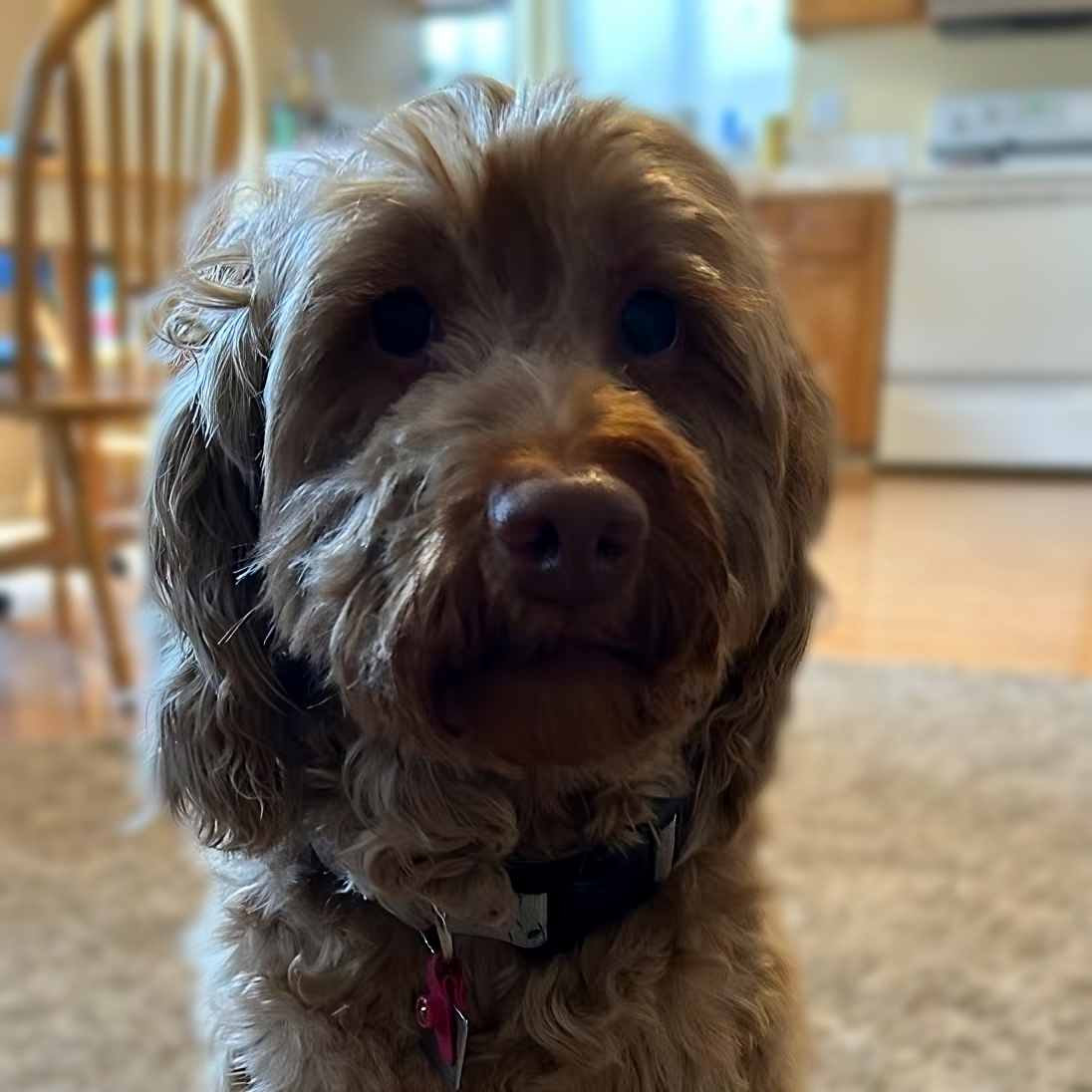 Heidi Profile Picture